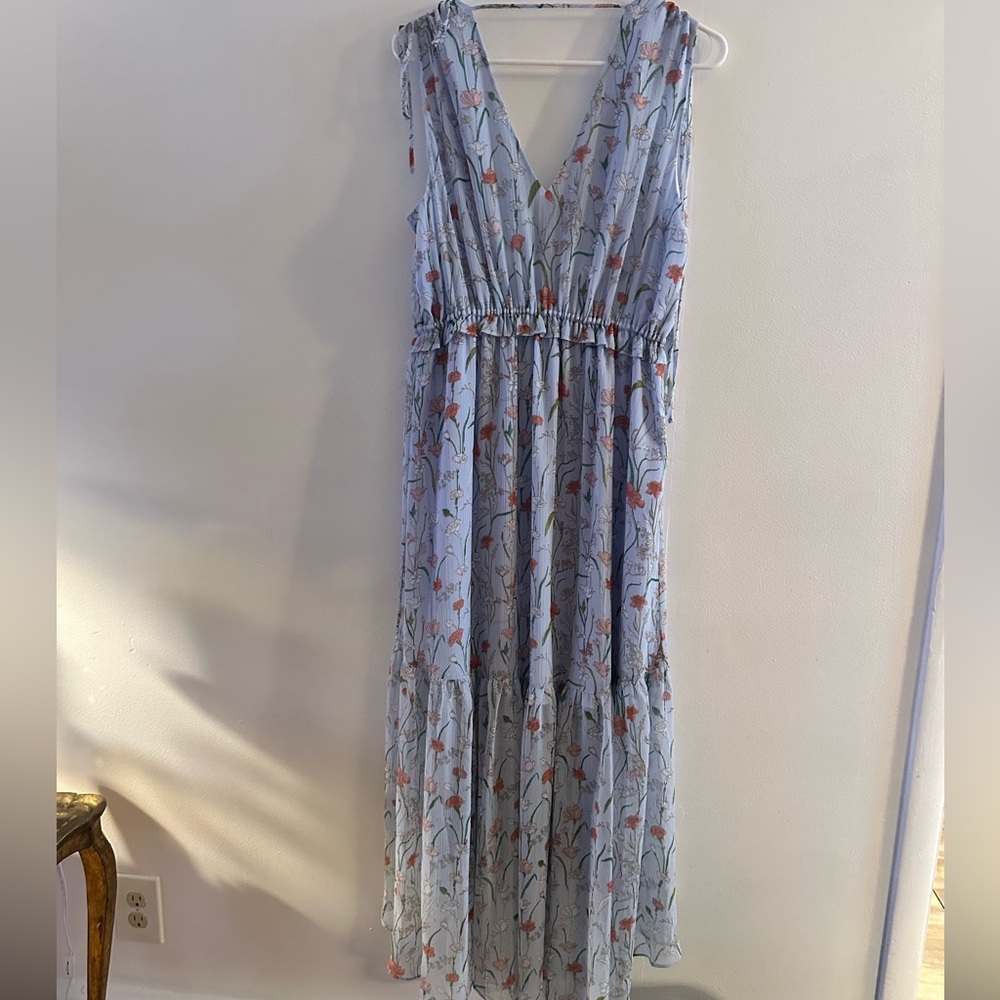 Banana Republic Asymmetrical Dress - Blue and Red Floral